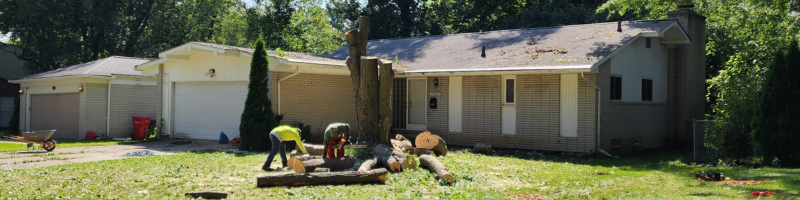 residential tree removal