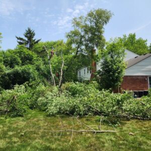 residential-tree-emergency