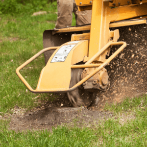 stump-grinding