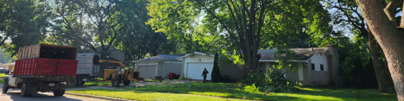 tree trimming; tree pruning